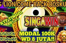 Info Slot 5 Lions Hari Ini Pejuang Slot Receh Terbaru